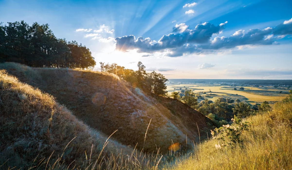 18) Jak pozyskać opinie Google w Rybniku i poprawić widoczność